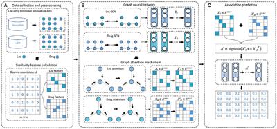 Identification of associations between lncRNA and drug resistance based on deep learning and attention mechanism